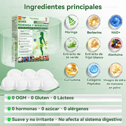 𝑳𝒖𝒙𝒂𝒓𝒊𝒔𝒆 ✅ Moringa & Berberina 10 en 1 Parche Avanzado de Microagujas Nano (Uso diario, cambios visibles en 7 días) 👩‍⚕️ Obesidad, Diabetes, Apnea del Sueño y Problemas Articulares