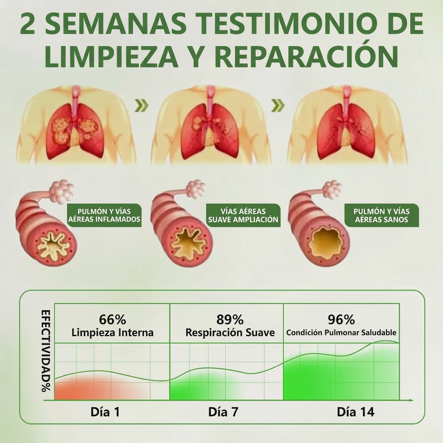 Timilk®BOTÁNICO CUIDADO PULMONAR DIFUSOR DE GORDOLOBO🌿
