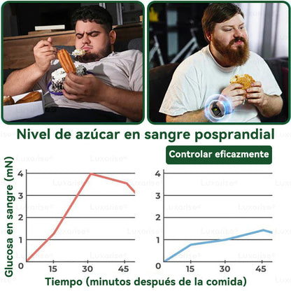 𝑳𝒖𝒙𝒂𝒓𝒊𝒔𝒆 ✅ Moringa & Berberina 10 en 1 Parche Avanzado de Microagujas Nano (Uso diario, cambios visibles en 7 días) 👩‍⚕️ Obesidad, Diabetes, Apnea del Sueño y Problemas Articulares